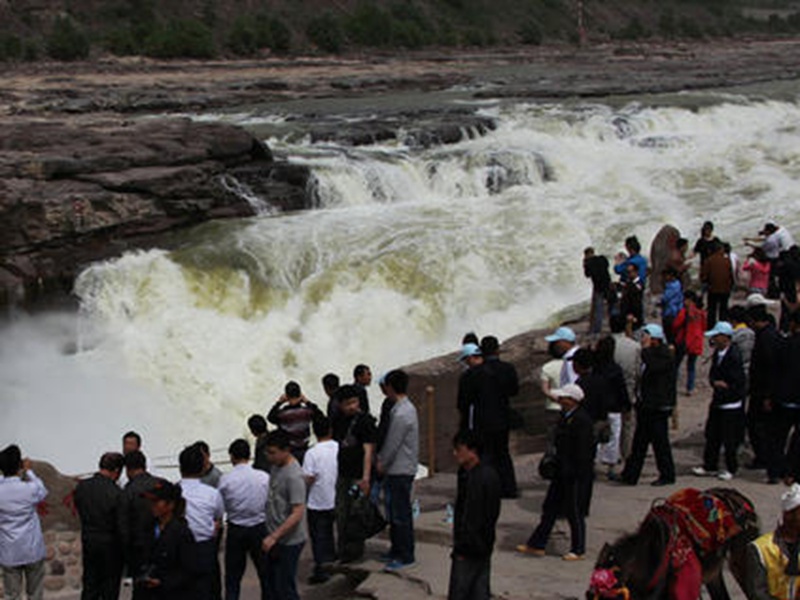黃河壺口瀑布的水從黃變綠引起了民眾的觀(guān)看