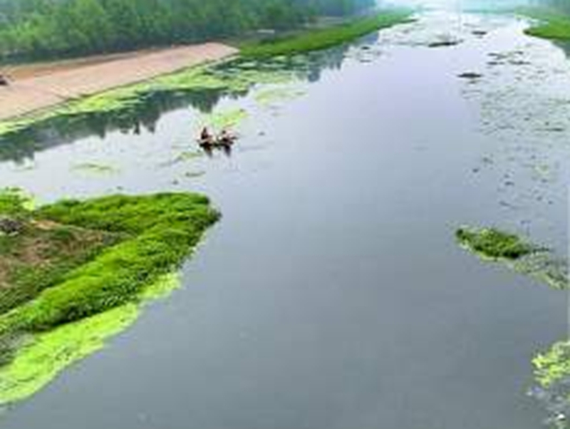 鄭州市賈魯河水遭受比較嚴重環(huán)境污染，每天近二十噸污水排進(jìn)