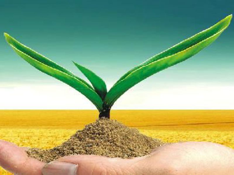 面對困境和挑戰，化肥企業(yè)是怎樣解決的？